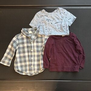 Tucker + Tate Blue and Gray Button Down Shirts